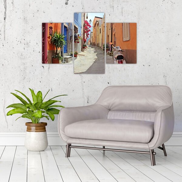 Tablou cu strada din Sardinia (90x60 cm)