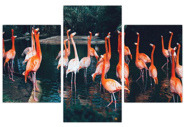 Tablou - turmă de flamingo (90x60 cm)