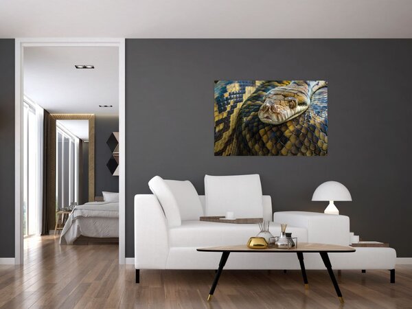 Tablou - Piton (90x60 cm)