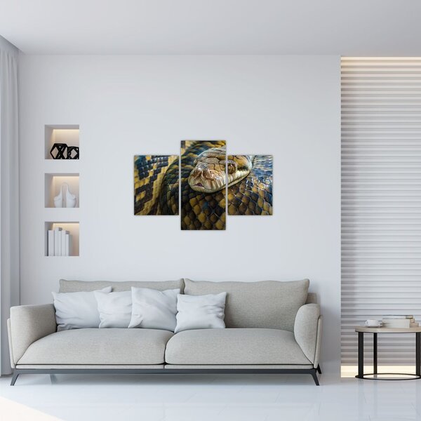 Tablou - Piton (90x60 cm)