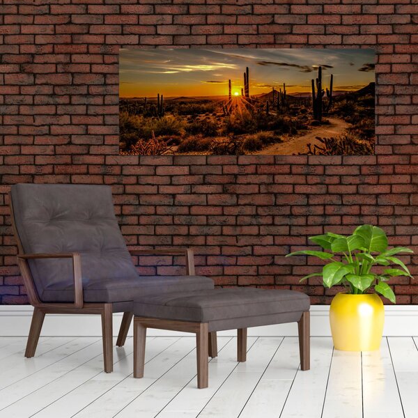 Tablou - Sfărșit de zi în deșertul Arizona (120x50 cm)