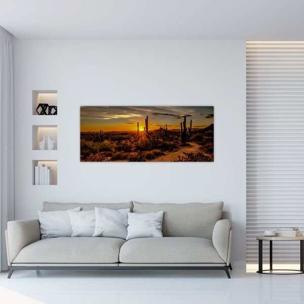 Tablou - Sfărșit de zi în deșertul Arizona (120x50 cm)
