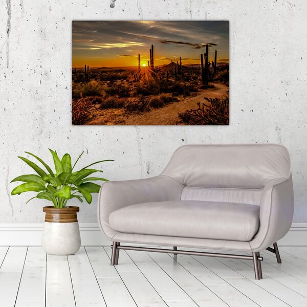 Tablou - Sfărșit de zi în deșertul Arizona (90x60 cm)