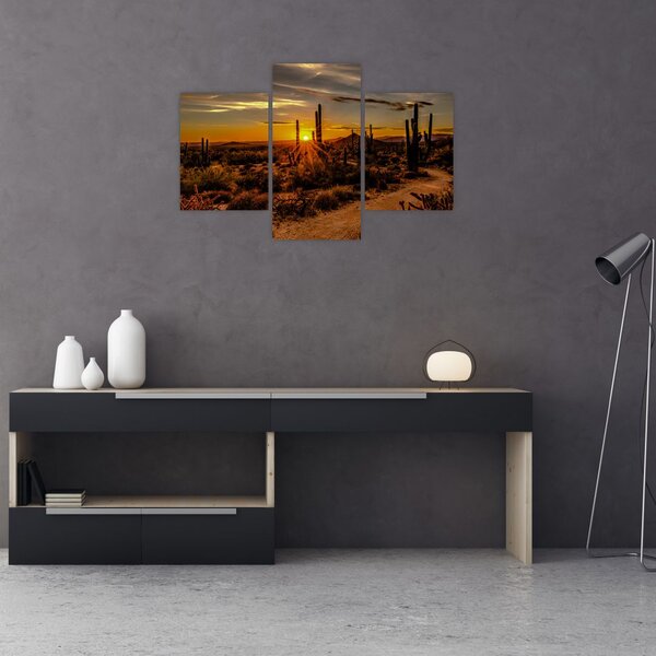 Tablou - Sfărșit de zi în deșertul Arizona (90x60 cm)