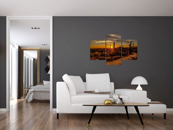 Tablou - Sfărșit de zi în deșertul Arizona (90x60 cm)