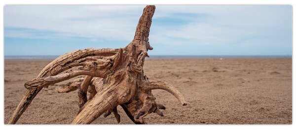 Tablou - Inundație de mare (120x50 cm)