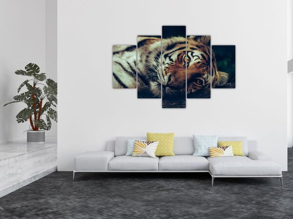 Tablou - Tigrul Siberian (150x105 cm)