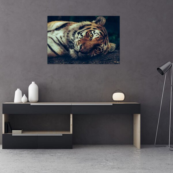 Tablou - Tigrul Siberian (90x60 cm)
