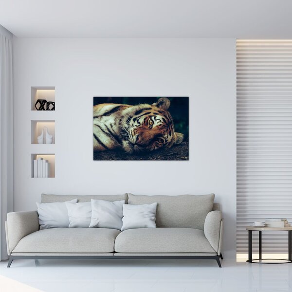 Tablou - Tigrul Siberian (90x60 cm)