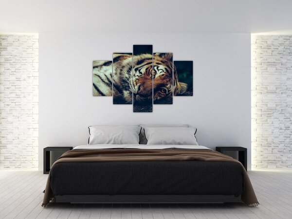 Tablou - Tigrul Siberian (150x105 cm)