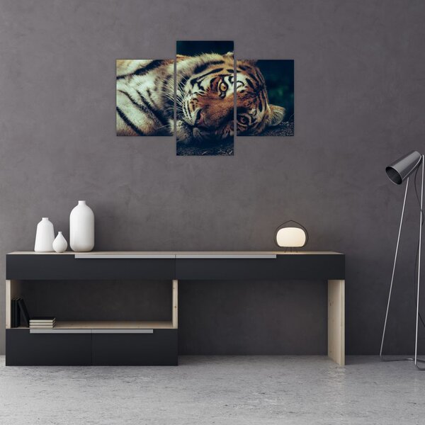 Tablou - Tigrul Siberian (90x60 cm)