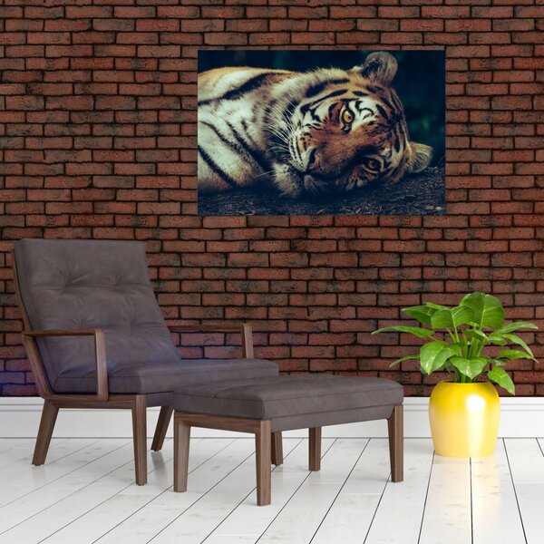 Tablou - Tigrul Siberian (90x60 cm)