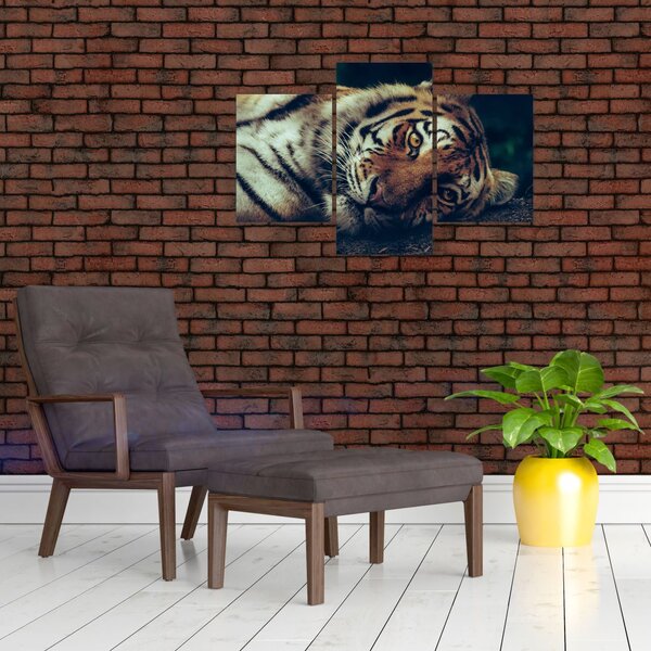 Tablou - Tigrul Siberian (90x60 cm)