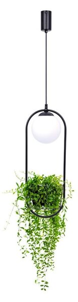 Zuma Line Plant lampă suspendată 1x40 W negru 5003