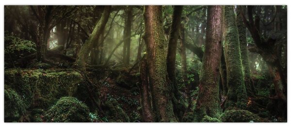 Tablou - Pădurea enigmatică (120x50 cm)