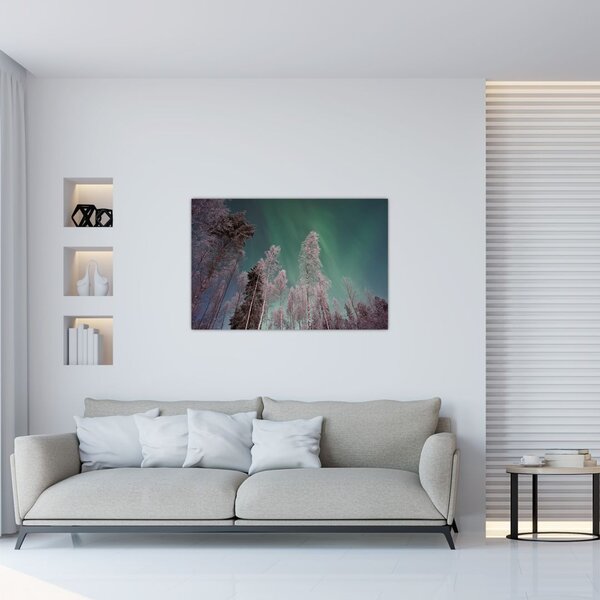 Tablou cu aurora borealis deasupra pomilor înghețați (90x60 cm)