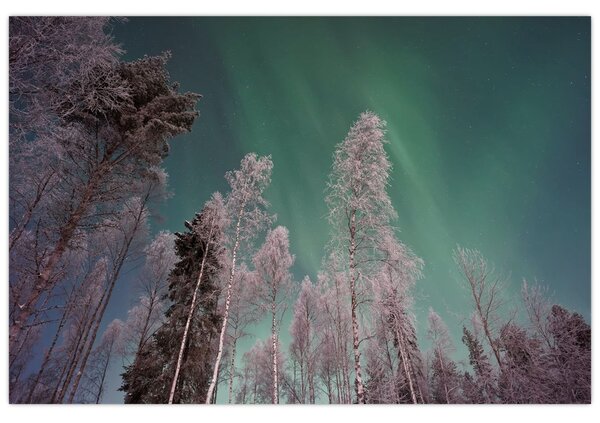 Tablou cu aurora borealis deasupra pomilor înghețați (90x60 cm)