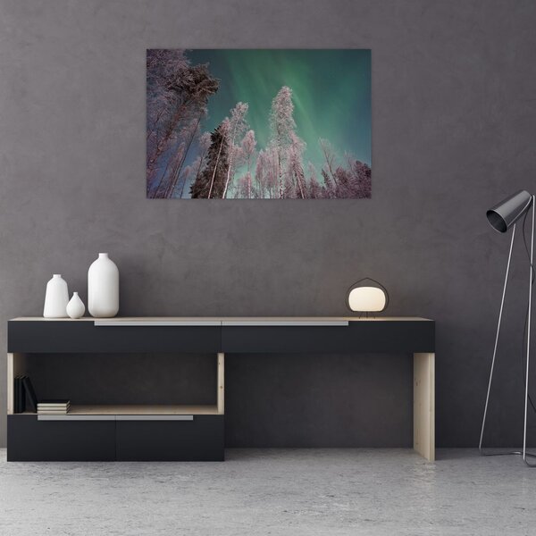 Tablou cu aurora borealis deasupra pomilor înghețați (90x60 cm)