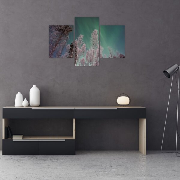 Tablou cu aurora borealis deasupra pomilor înghețați (90x60 cm)