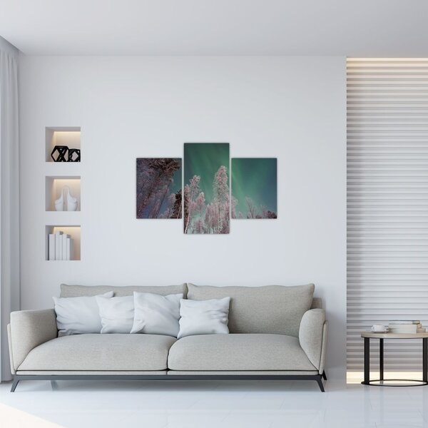Tablou cu aurora borealis deasupra pomilor înghețați (90x60 cm)