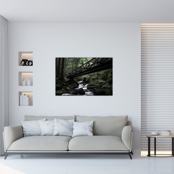 Tablou din pădurea neagră (90x60 cm)