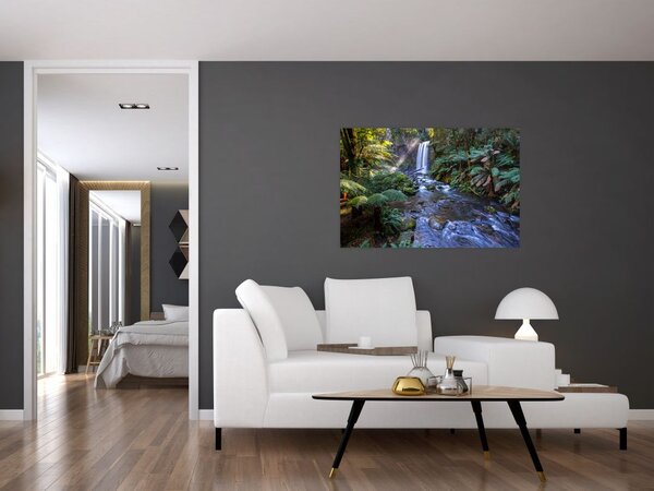 Tablou cu pădurea ploilor din Austalia (90x60 cm)