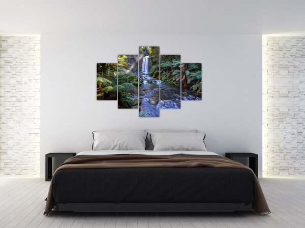 Tablou cu pădurea ploilor din Austalia (150x105 cm)