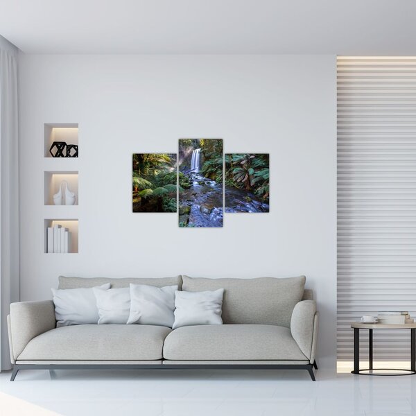 Tablou cu pădurea ploilor din Austalia (90x60 cm)