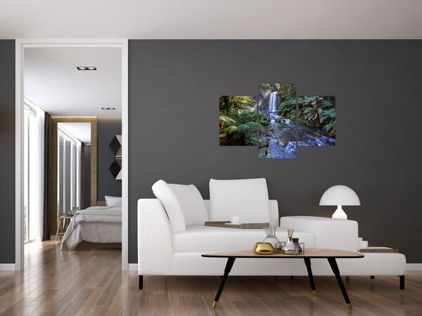 Tablou cu pădurea ploilor din Austalia (90x60 cm)