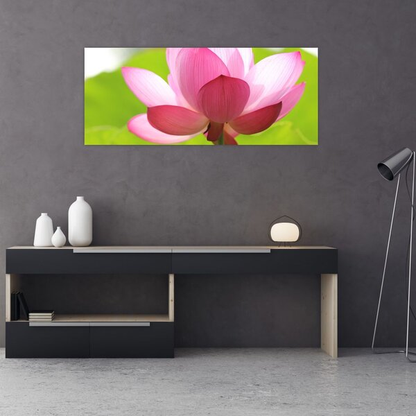 Tablou cu flori de lotus (120x50 cm)