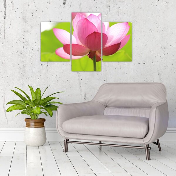 Tablou cu flori de lotus (90x60 cm)