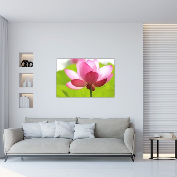 Tablou cu flori de lotus (90x60 cm)