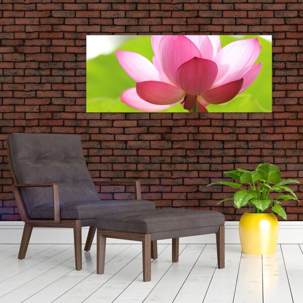 Tablou cu flori de lotus (120x50 cm)