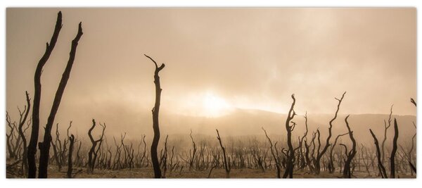 Tablou - Copaci goi (120x50 cm)