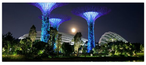 Tablou cu lună plină în grădinile din Singapur (120x50 cm)