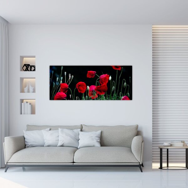 Tablou - Dansul macilor (120x50 cm)