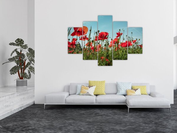 Tablou - Pe câmpul cu maci (150x105 cm)