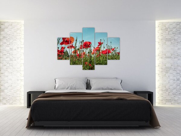 Tablou - Pe câmpul cu maci (150x105 cm)