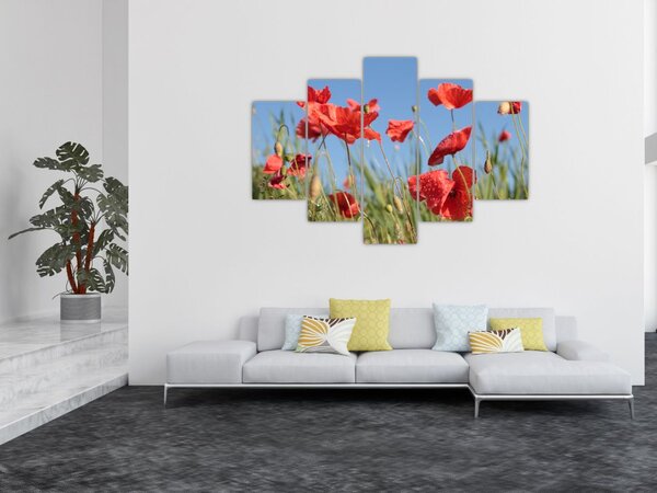 Tablou - Maci (150x105 cm)