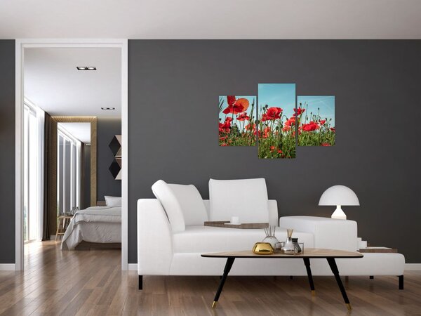 Tablou - Pe câmpul cu maci (90x60 cm)