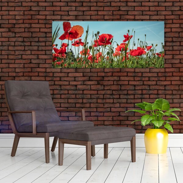 Tablou - Pe câmpul cu maci (120x50 cm)