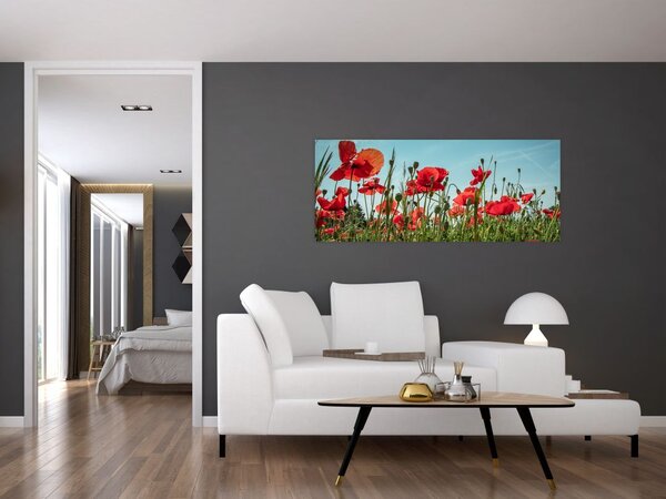 Tablou - Pe câmpul cu maci (120x50 cm)