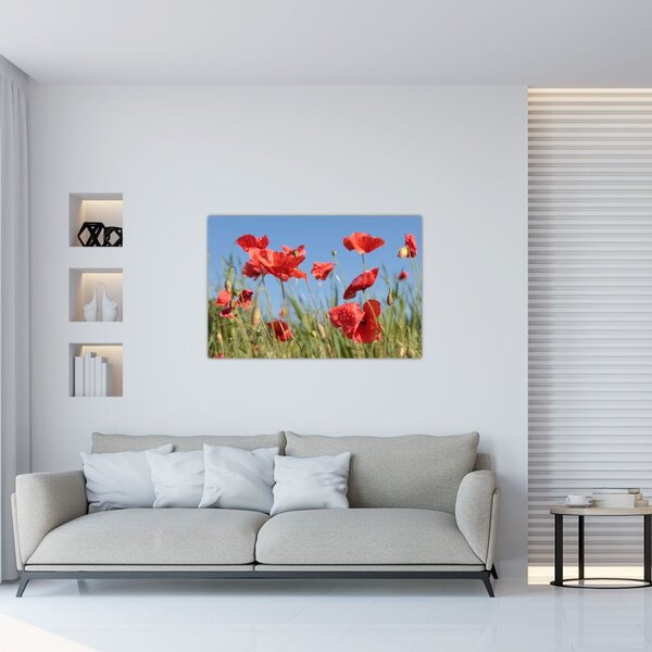 Tablou - Maci (90x60 cm)