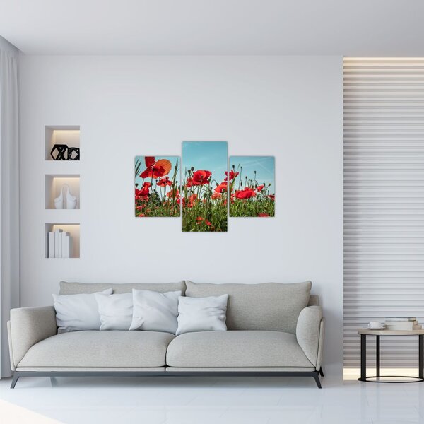 Tablou - Pe câmpul cu maci (90x60 cm)