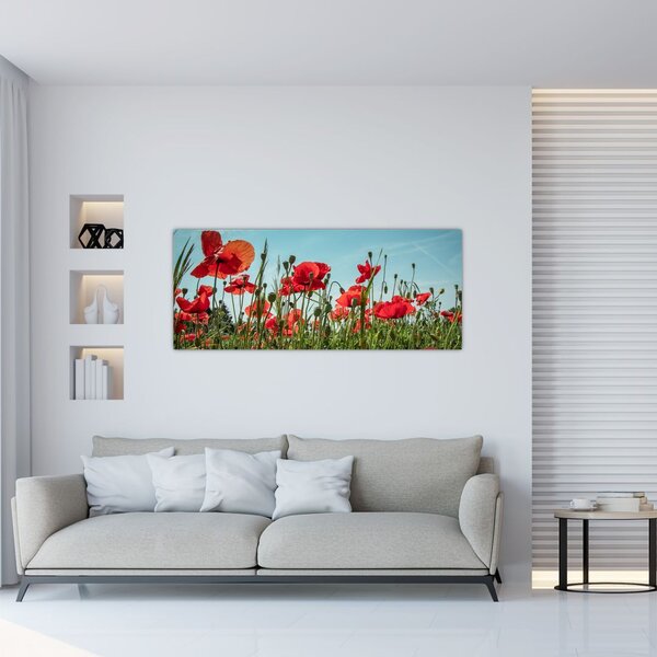 Tablou - Pe câmpul cu maci (120x50 cm)
