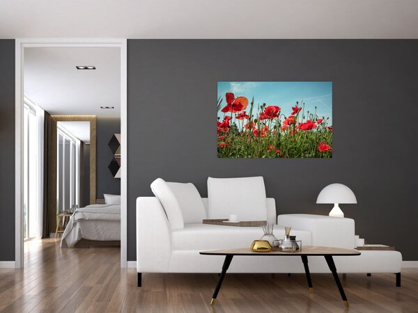 Tablou - Pe câmpul cu maci (90x60 cm)