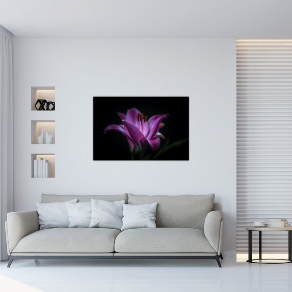 Tablou crinul (90x60 cm)
