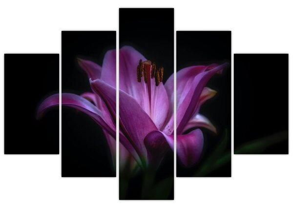 Tablou crinul (150x105 cm)