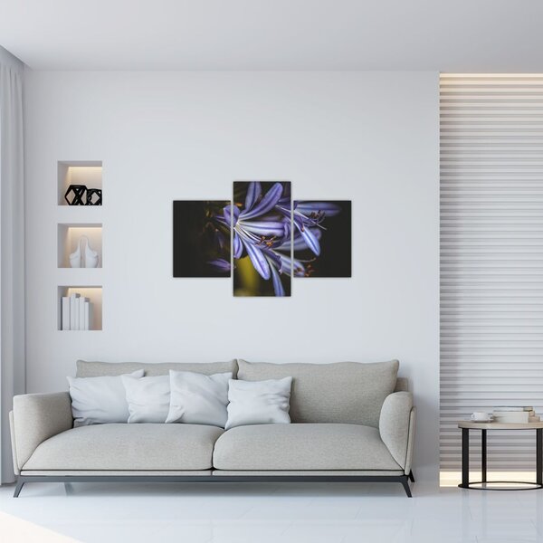 Tablou - Lila (90x60 cm)