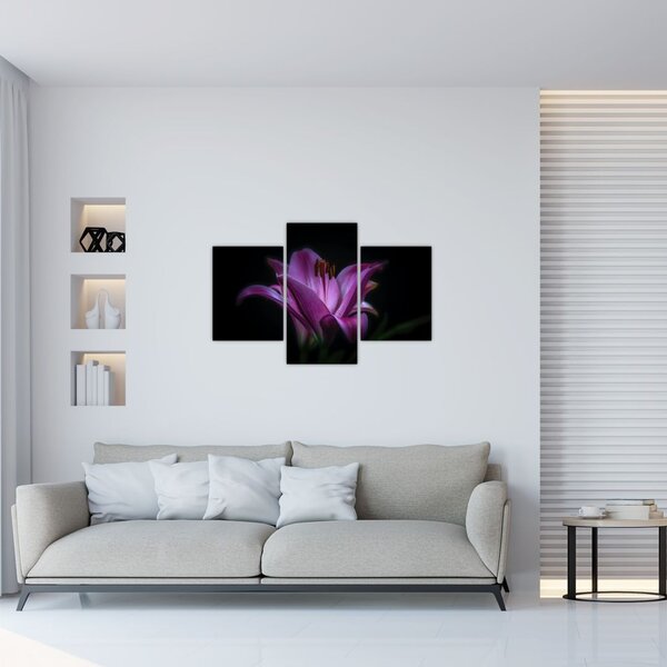 Tablou crinul (90x60 cm)